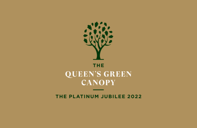 Quuesn Green Canopy