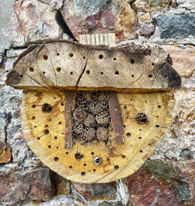 Bug House