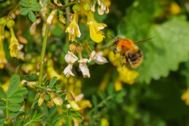 Screenshot_2025-01-24_114334_720x