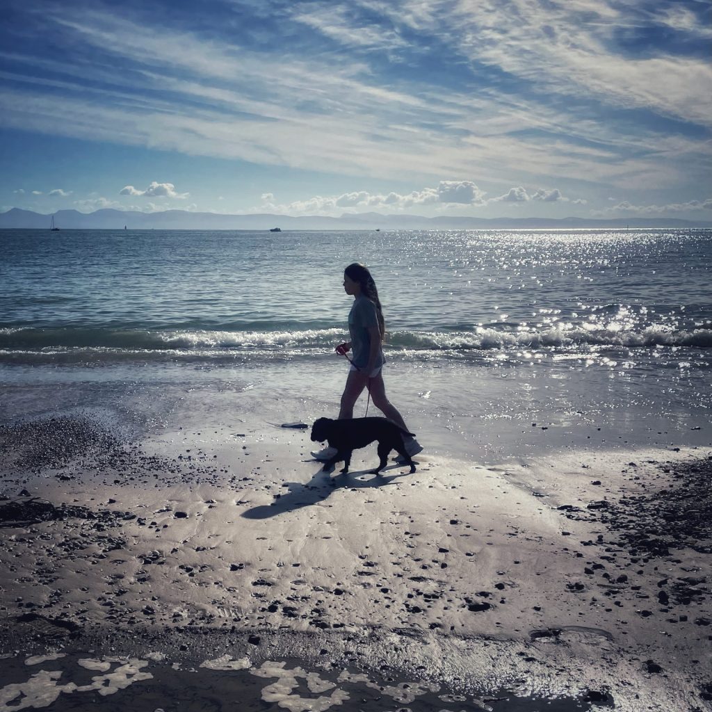 Discover why September is such a special time for dogs and their owners at Tremfan Lodge Park, with quieter beaches, coastal walks, dog-friendly places to eat and the freedom of lodge ownership in Llanbedrog.
